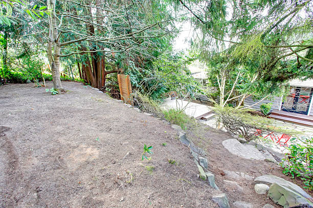 istock View of the backyard from a hill 480685851