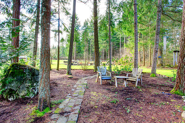 istock Countryside rest outdoor area 480687137