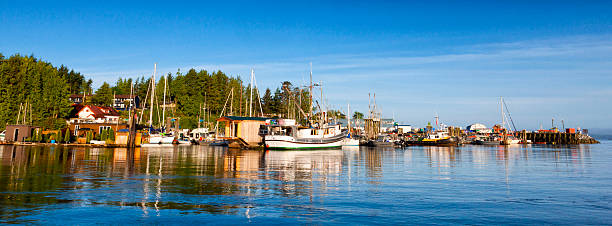 istock Harbour in Tofino, British Columbia, Canada 480688402