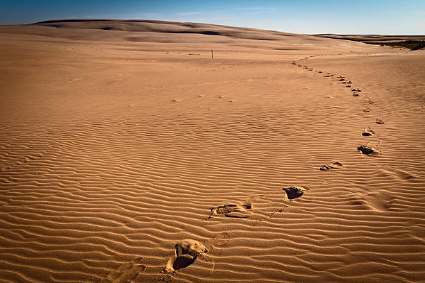 istock Sand ripples and footprints in the Desert 480691981