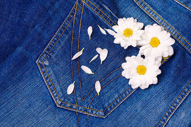 istock camomile in jeans pocket 480692256