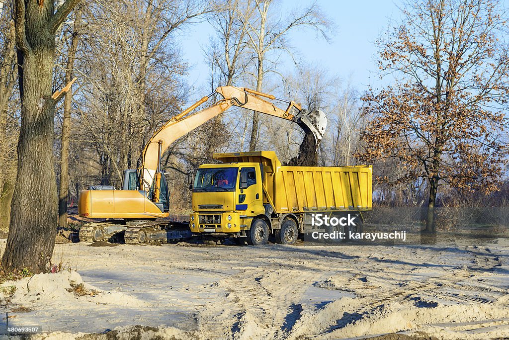 Excavator and Lorry An orange excavator and a yellow truck working in the park under a cold morning sunlight in winter Activity Stock Photo