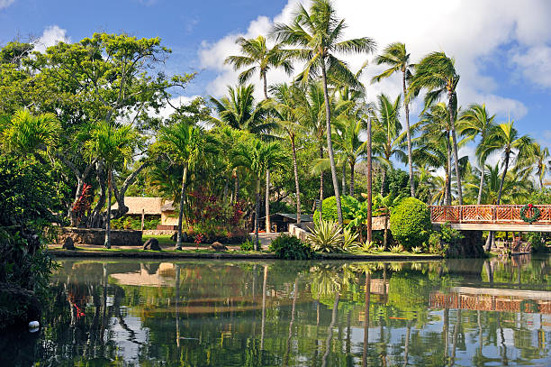 polynesische village - polynesian culture stock-fotos und bilder