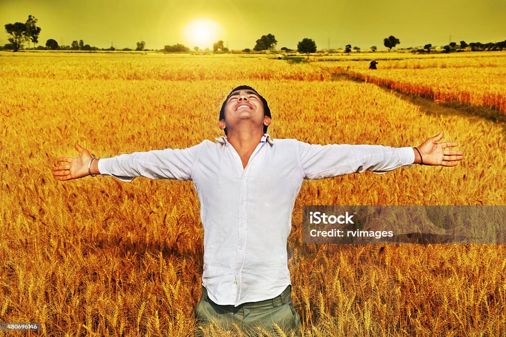 Arm Raised Men standing in wheat field. 2015 Stock Photo