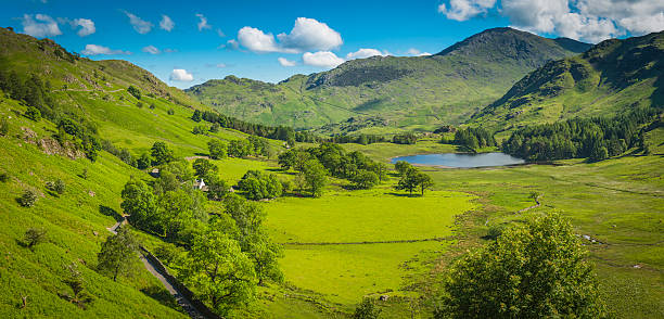 vallée idyllique de montagne d'été paysage verdoyant le ciel bleu panorama cambrie - langdale pikes panoramic english lake district cumbria photos et images de collection