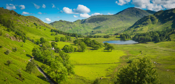 Blue summer skies and white fluffy clouds over the idyllic mountains and tranquil valleys, vibrant woodlands and green pasture in this bucolic rural view across the high fells of the English Lake District, Cumbira. Photo RGB profile for maximum color fidelity and gamut.