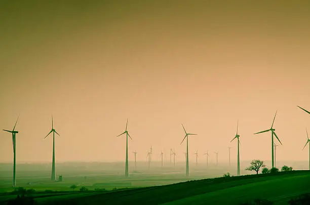 Photo of windmills