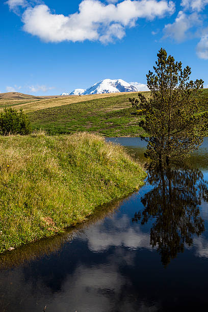 istock Landscape with lake in the background Chimborazo 480702452