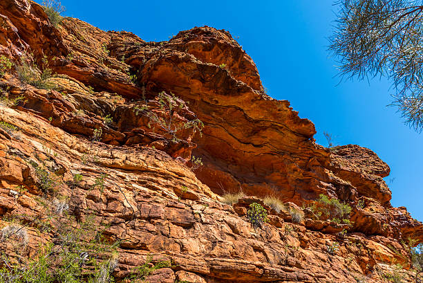 istock Kings Canyon, Central Australia 480709069