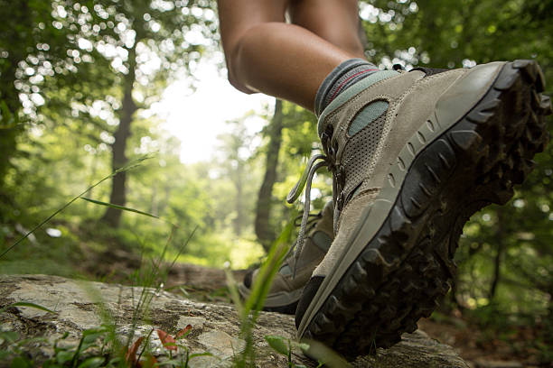 istock Hiker walk on a mountain trail-Summer 480709434