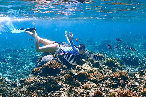 Woman with mask snorkeling stock photo