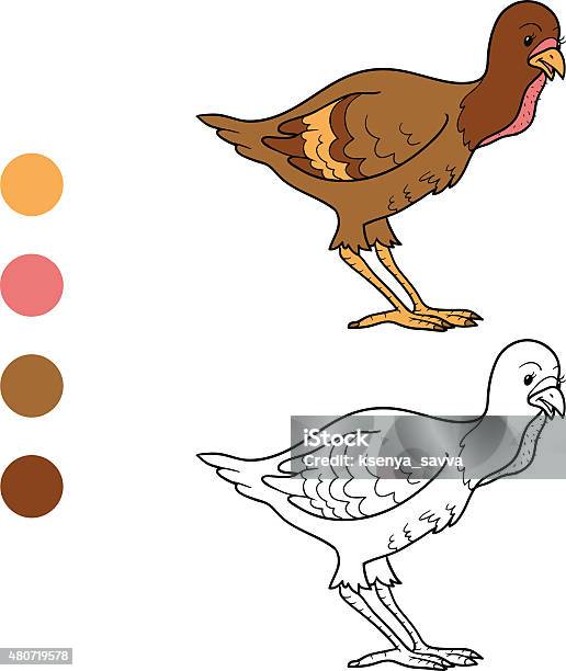 Coloring Book Stock Illustration - Download Image Now - Coloring, Thanksgiving - Holiday, Turkey - Bird