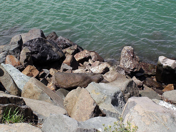 istock View Of Stone On SeaShore At Shelter Bay Colon Panama 480720698