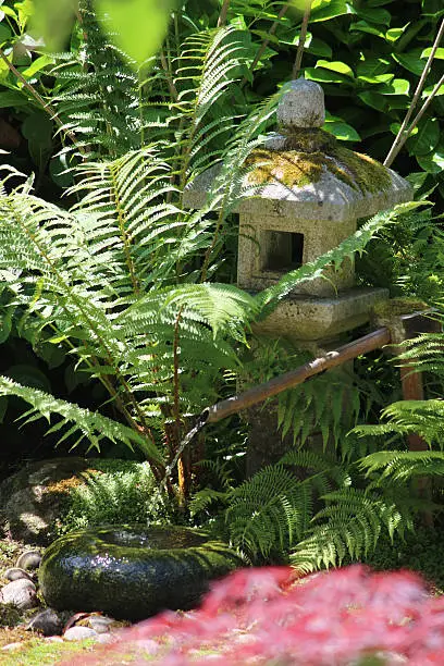 Photo showing an 'oribe' style granite lantern in a shady corner of a Japanese garden, where it is weathering and attracting moss.  The Japanese lantern is standing alongside a 'Tetsu-bachi' water basin and its trickling bamboo spout.