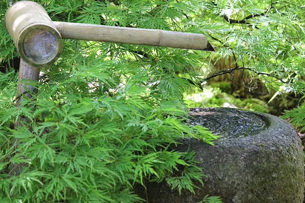 Photo showing a weathered granite water basin that is strategically placed in the corner of a Japanese garden, with water being shown trickling into the basin through a bamboo spout.