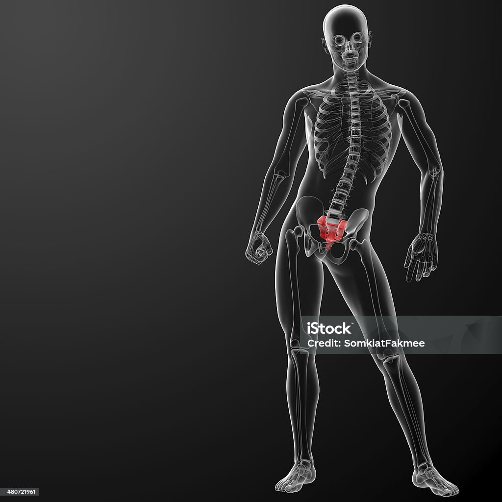 3 d renderowania Ilustracja Krzyż kości - Zbiór zdjęć royalty-free (Anatomia człowieka)