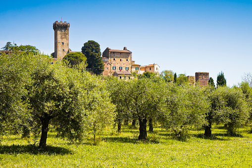 Medieval citadel of Vicopisano (Italy-Tuscany-Pisa)