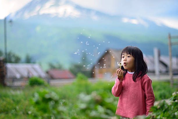 fille asiatique en zone rurale - dandelion snow photos et images de collection