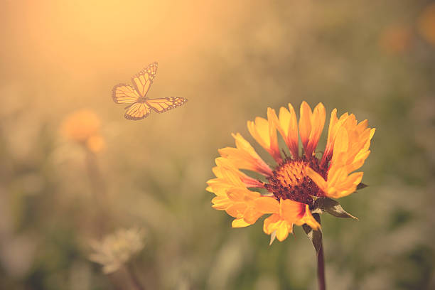 istock Beautiful butterfly and flowers 480724506