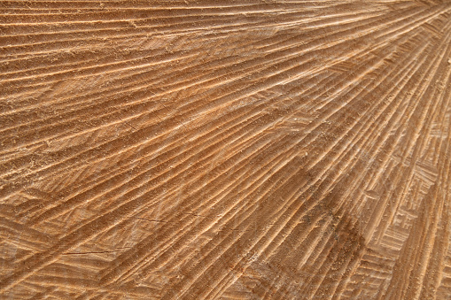 Detail of the radially abstract texture of the cut surface of a newly sawed tree trunk