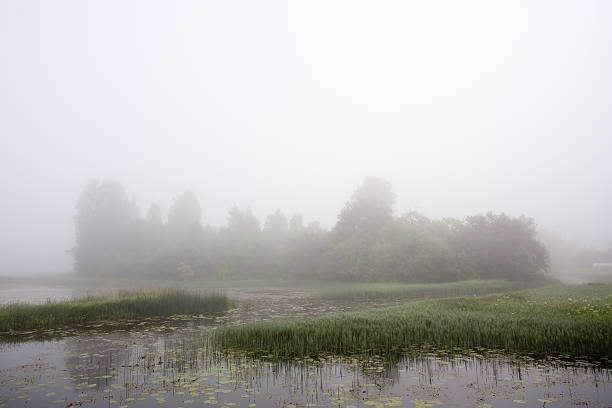 istock Foggy morning on lake 480725294