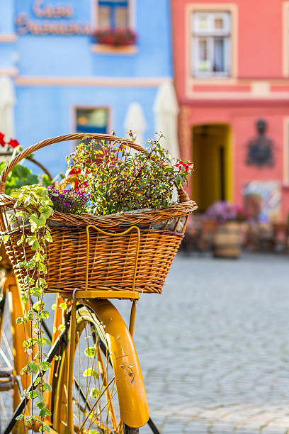 istock Vintage bicycle and flowers 480727406