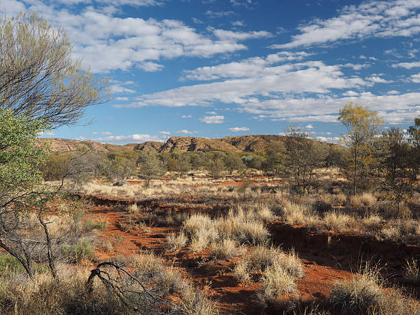 Late afternoon Outback at Simpsons Gap