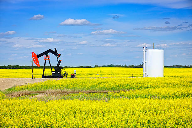 annuendo pompa olio nelle prairies - oil pump oil industry prairie field foto e immagini stock