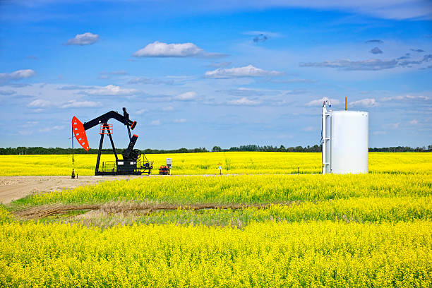 istock Nodding oil pump in prairies 480729321