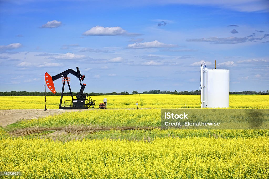 Nodding oil pump in prairies Oil pumpjack or nodding horse pumping unit in Saskatchewan prairies, Canada Oil Pump Stock Photo