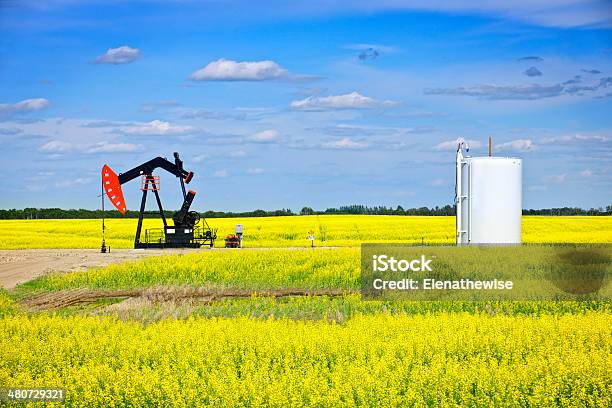 Nodding Oil Pump In Prairies Stock Photo - Download Image Now - Oil Pump, Storage Tank, Agricultural Field