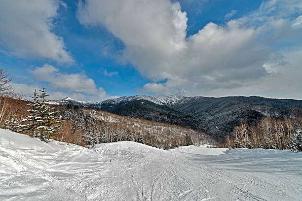 la natura dell'isola di sakhalin, russia. - isola di sakhalin foto e immagini stock