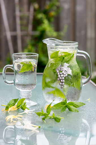 Chill! Cool down with soothing  herbal cold drink in summer time - ice water with fresh honeysuckle flowers and mint from the garden.  