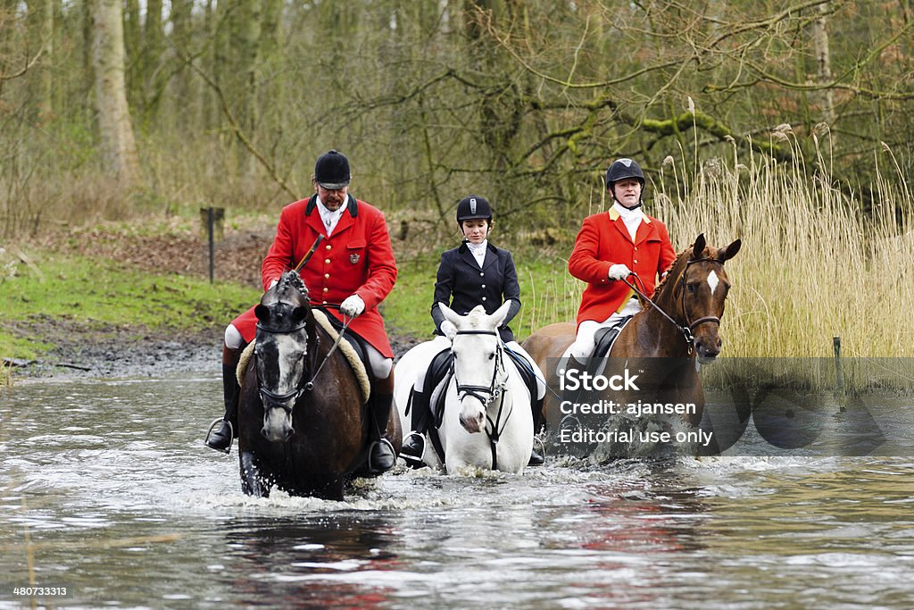 hunters cavalcare cavalli in una palude - Foto stock royalty-free di Abbigliamento