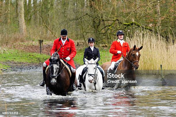 Hunters Equitação Os Cavalos Através De Um Pântano - Fotografias de stock e mais imagens de Adulto