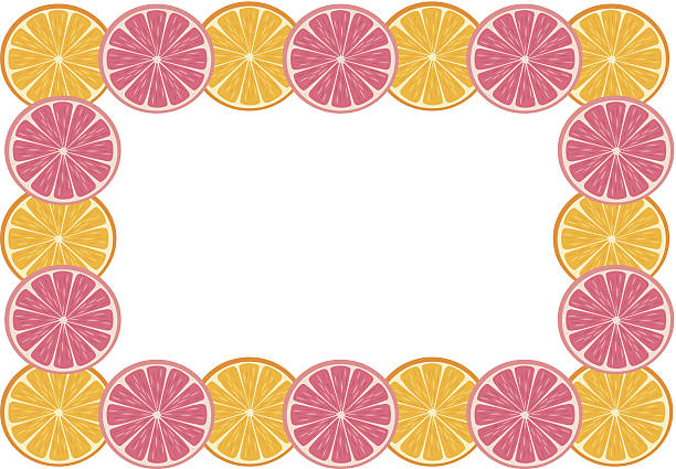 illustrazioni stock, clip art, cartoni animati e icone di tendenza di fette di agrumi montatura c - citrus fruit frame portion isolated