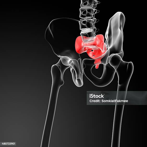 3 D Render Illustration Kreuzbein Bone Stockfoto und mehr Bilder von Anatomie - Anatomie, Biologie, Brustbein