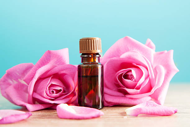 istock Bottle with aromatic oil and pink rose 480737185