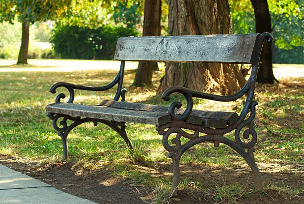 istock Bench in park with green grass and woods 480738374