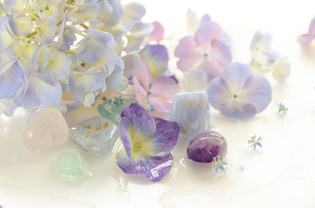 hydrangea arrangement in white background stock photo