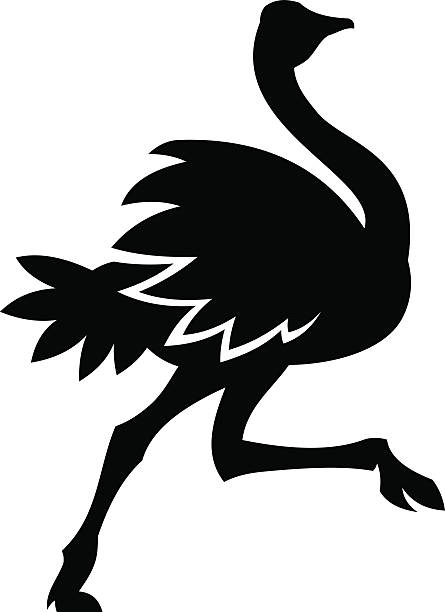 ostrich Ostrich silhouette. ostrich silhouette stock illustrations