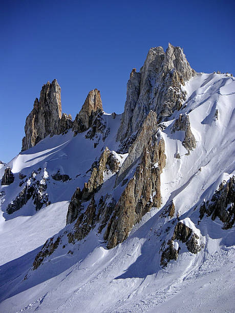 le vette delle ande - torresillas foto e immagini stock