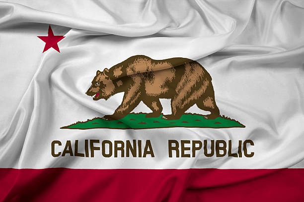 istock Waving California State Flag 480742681