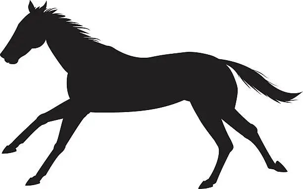 Vector illustration of horse silhouette vektör