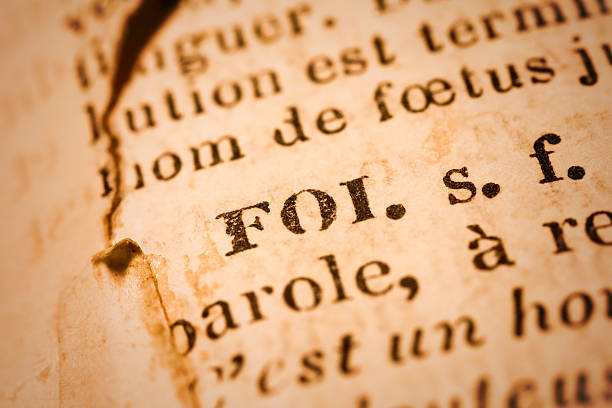 foi: diccionario primer plano; francés - french culture dictionary france text fotografías e imágenes de stock