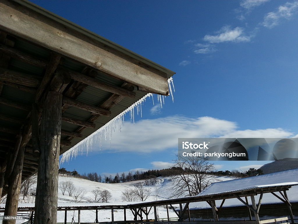 winter winter, sky, icicles, white, blue, roof, gangwon, flock village, nature, winter, sky, icicle, blue, white, ice, frost, snow, frozen, blue sky, nature 2015 Stock Photo