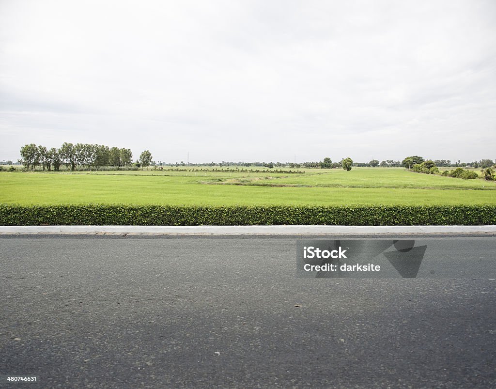 Borde de la carretera - Foto de stock de Acera libre de derechos