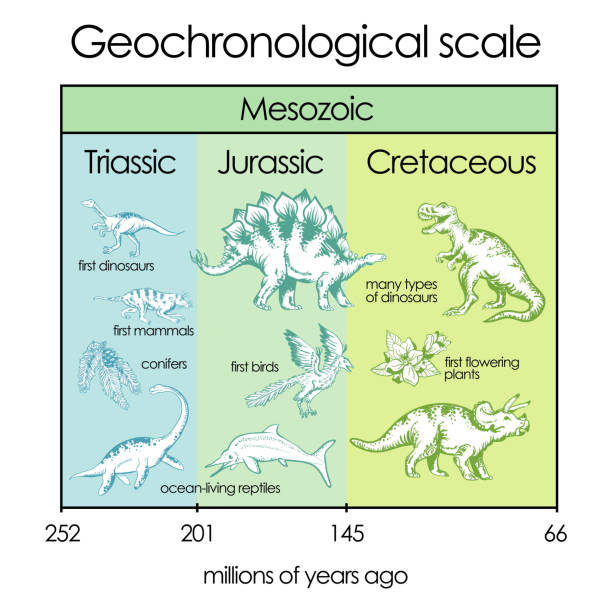 Geochronological scale. Part 4 - Mesozoic Eon vector art illustration