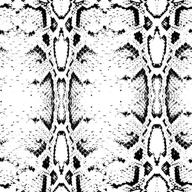 Vector illustration of Seamless pattern black on white background. Snake skin texture. Vector