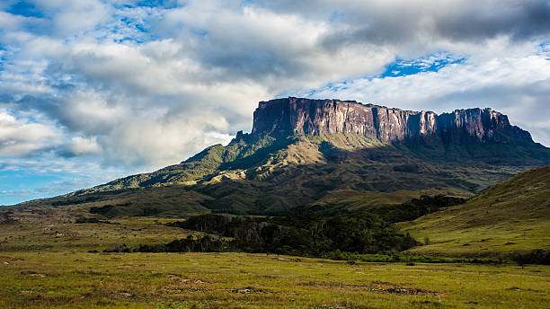 istock Mount Kukenan in Venezuela 480747793